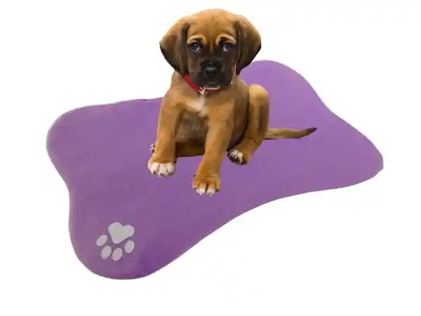 Hally Pets Cama Para Mascotas en Forma de Hueso Lila E1003