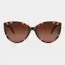 Barner Gafas Sun Belleville Carey