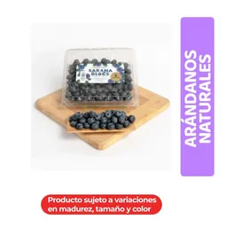 Sabana Blues Arándanos Naturales Frescos Jumbo 500g