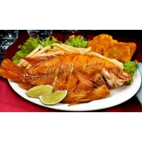 Mojarra Dorada