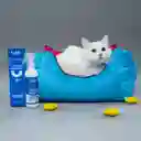 LuloPet Training Protector Cat y Kitten para Gatos - 250 ml