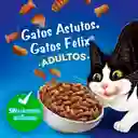Comida para Gatos Felix adulto megamix x 10 kg