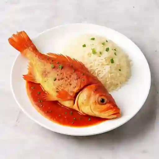 Pargo Rojo