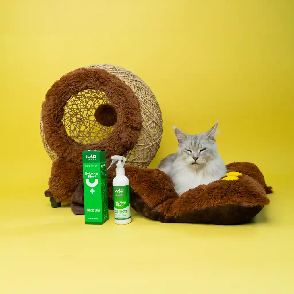 LuloPet Relaxing Effect Cat y Kitten para Gato - 250 ml