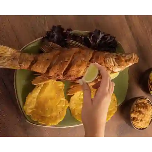 Róbalo Frito de 600 gr