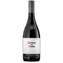 Casillero Del Diablo Vino Shiraz