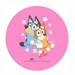 Viniball Pelota Bluey N 5