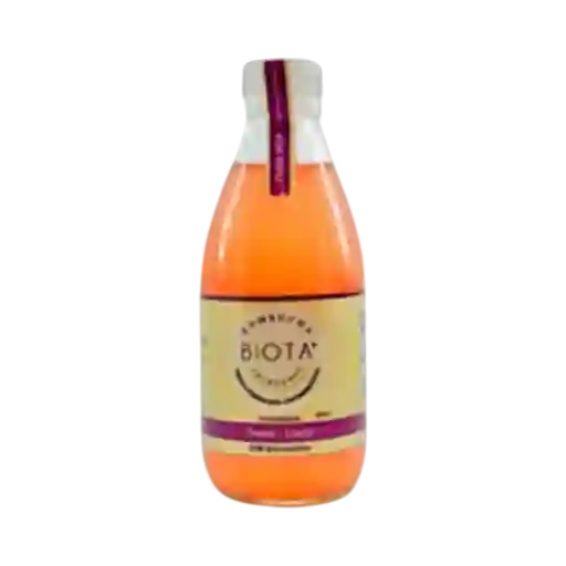Kombucha Biota Fresa Limón