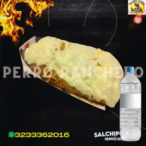 Combo Perro Ranchero + Botella de Agua 600Ml
