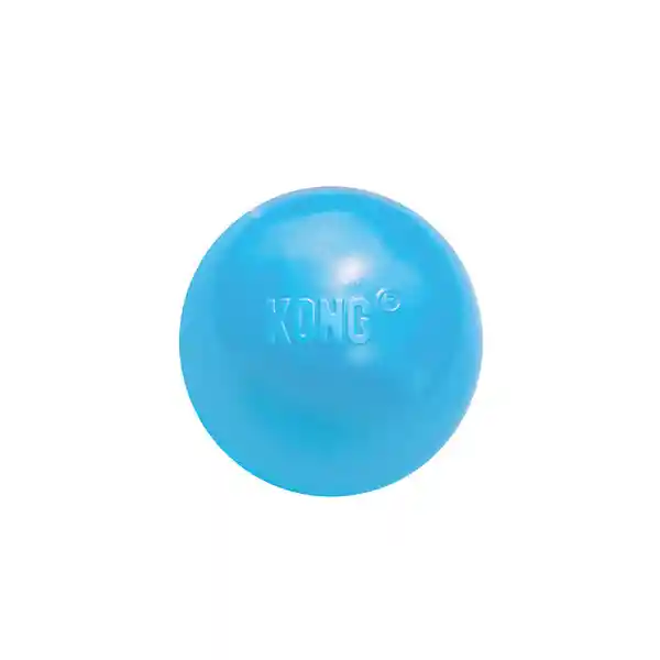 Kong Pelota Para Perro Pelota Caucho Puppy Small