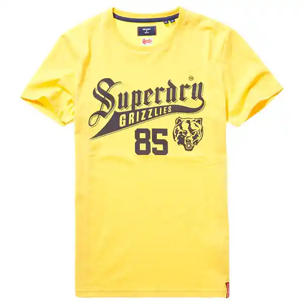 Superdry Camiseta Collegiate Graphic Tee 220 Verde L