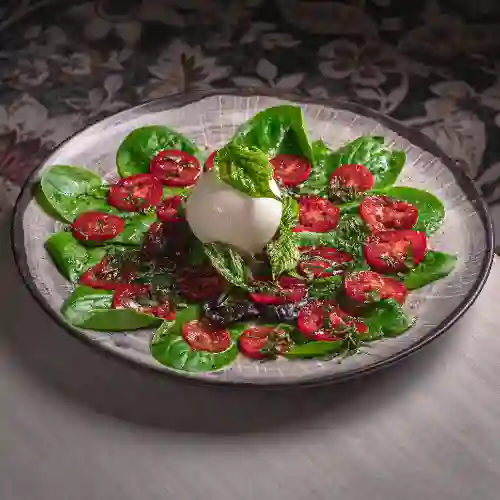 Burrata