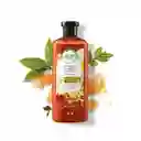 Shampoo Herbal Essences Bio:Renew Bourbon Miel de Manuka Champu 400 ml