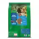 Comida para perro Dog Chow Cachorro medianos y grandes x 8 kg