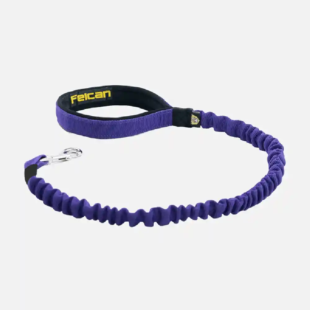 Correa Para Mascostas Anti Shock Morado Felcan