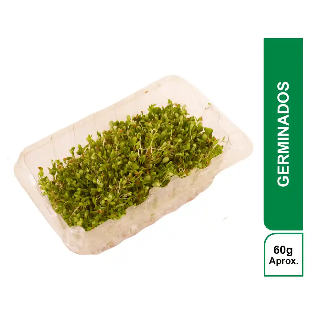 Kampos Germinados Turbo 60 g