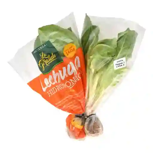 Lechuga Romana Hidrop La Giralda