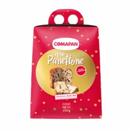 Comapan Panetón de Frutas