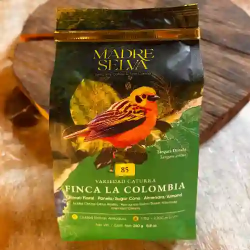 Cafe Caturra la Colombia