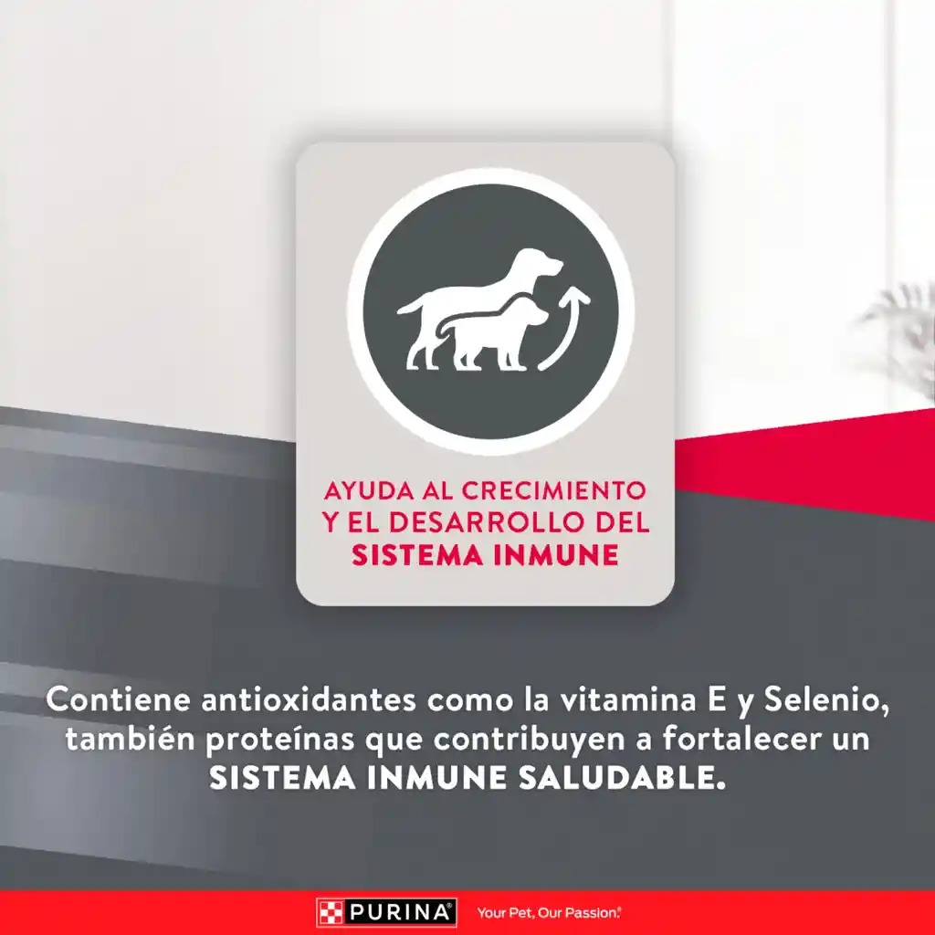 Comida para perros EXCELLENT PUPPY Razas Pequeñas x 3 kg