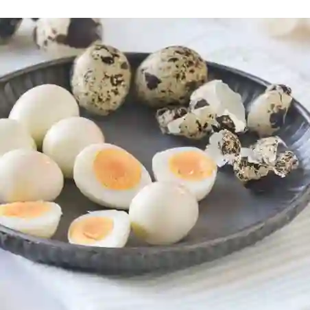 Huevo codorniz