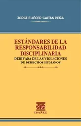 Estándares de La Responsabilidad Disciplinaria Derivada de Las Violaciones de Derechos Humanos