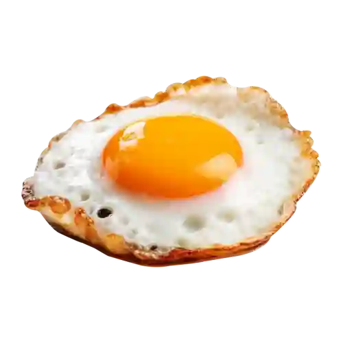 Huevos de Gallina