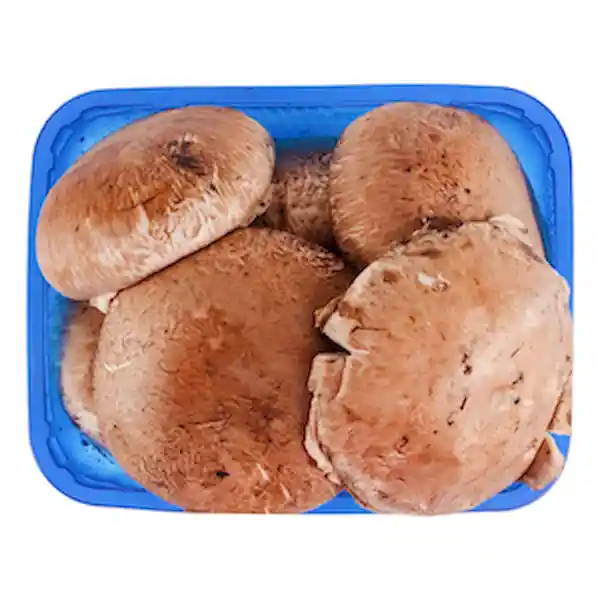Members Selection Champinon Portobello