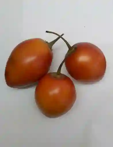 Tomate de Árbol Común