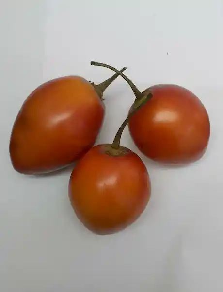 Tomate de Árbol Común