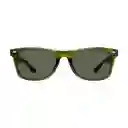 Gafas Para Hombre Color Verde X17125 Steve Madden