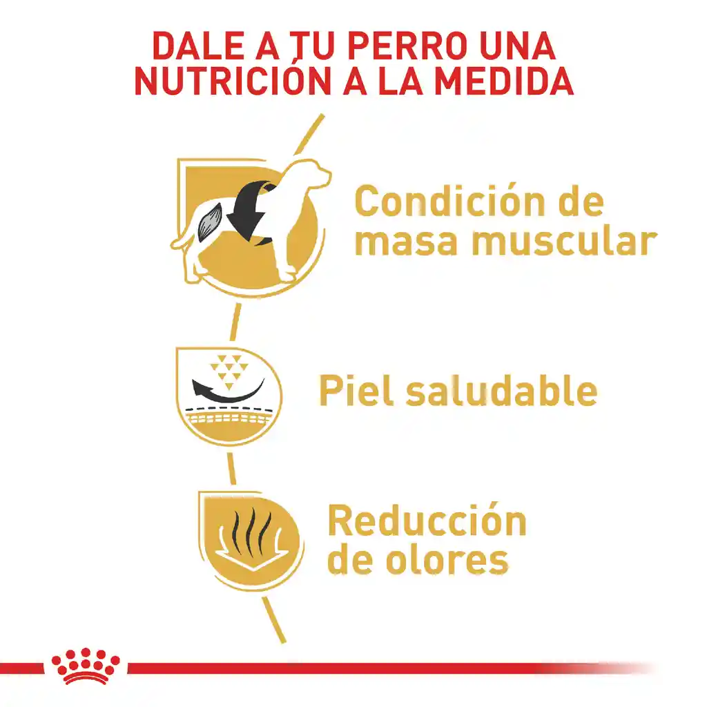 Royal Canin Alimento Para Perro Adulto Bulldog Francés 3 Kg