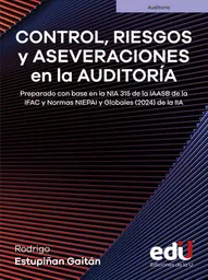 Control Riesgos y Aseveraciones en La Auditoria