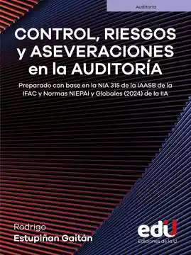 Control Riesgos y Aseveraciones en La Auditoria
