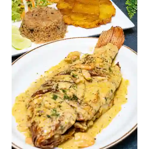 Mojarra en Salsa de Camaron