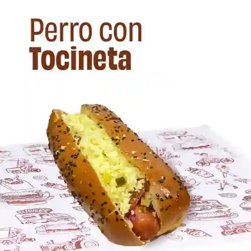 Perro Tocineta