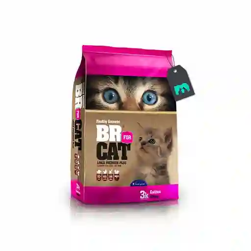 Br For Cat Alimento para Gatitos Línea Premium Plus