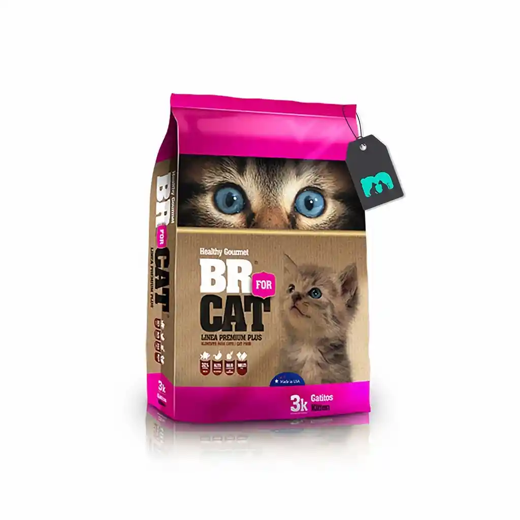 Br For Cat Alimento para Gatitos Premium Plus