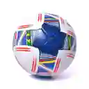 Balon Futbol Golty T678058