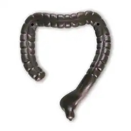 Intestino Grueso Rba