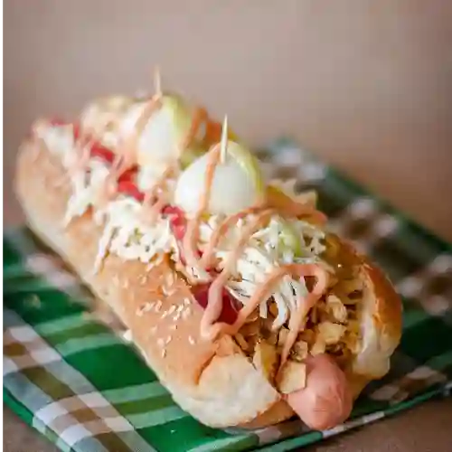 Perro Tracional
