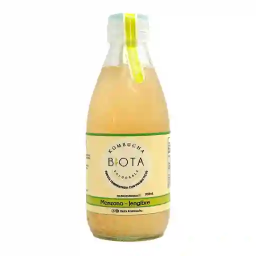 Bebida Biota Kombucha Manzana Jengibre
