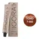 Igora Tinte Absolutes Rubio Medio Dorado Chocolate N.7.560