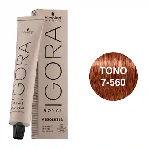 Igora Tinte Absolutes Rubio Medio Dorado Chocolate N.7.560