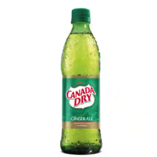 Canada Dry Ginger Ale 300ml