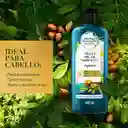 Herbal Essences Acondicionador Bio: Renew Aceite de Argán 400 mL