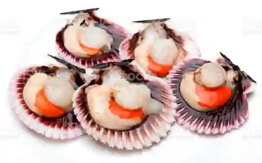 Scallops o Vieiras