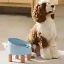 Make Sure Tazón Rolls Beige Azul