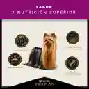 Comida para perros adultos paladares exigentes razas pequeñas Purina Pro Plan x 1 kg