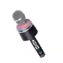 Microfono Inhalambrico Reig Musical